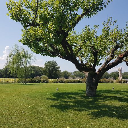 טודי Agriturismo Villa Al Piano מראה חיצוני תמונה
