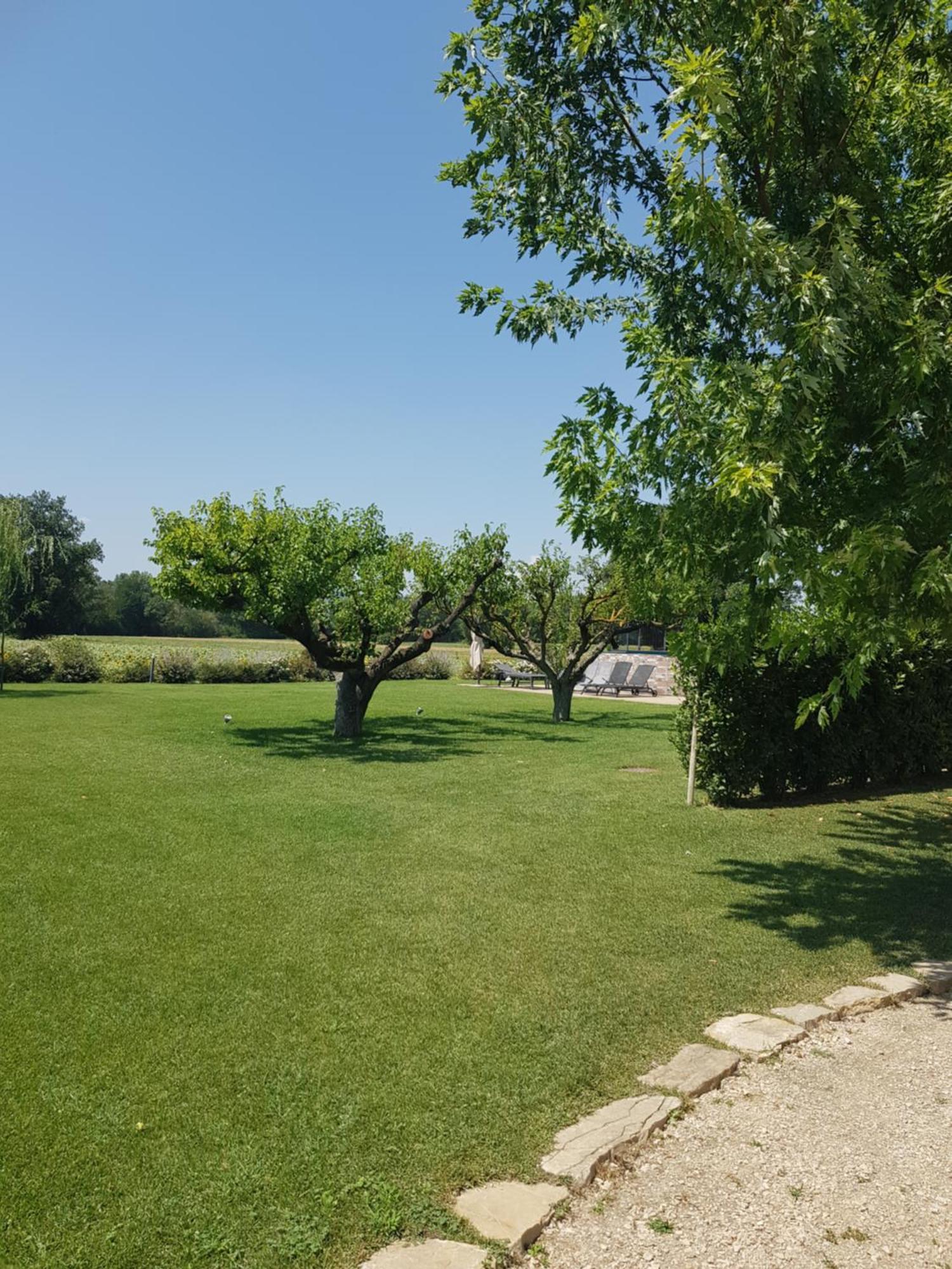 טודי Agriturismo Villa Al Piano מראה חיצוני תמונה