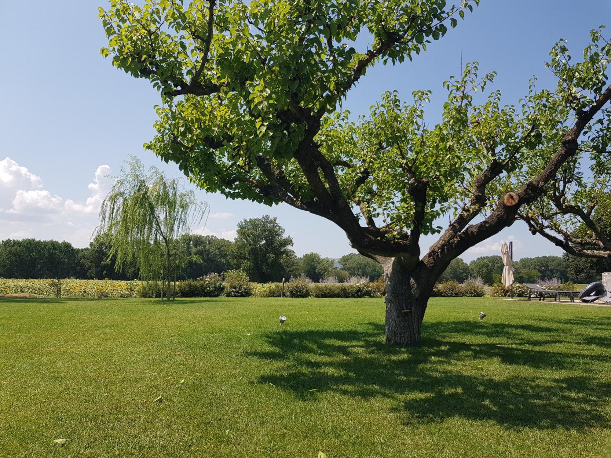 טודי Agriturismo Villa Al Piano מראה חיצוני תמונה
