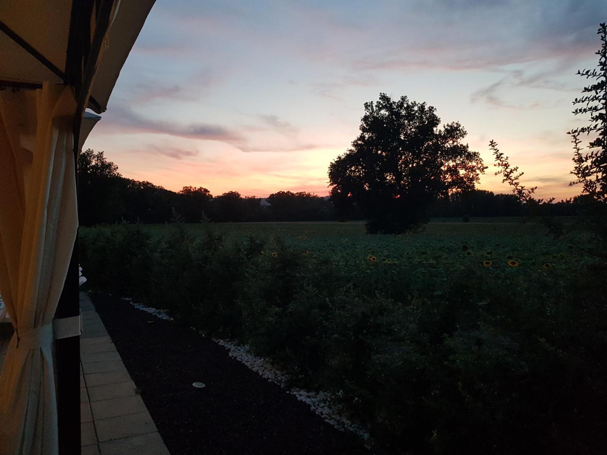 טודי Agriturismo Villa Al Piano מראה חיצוני תמונה