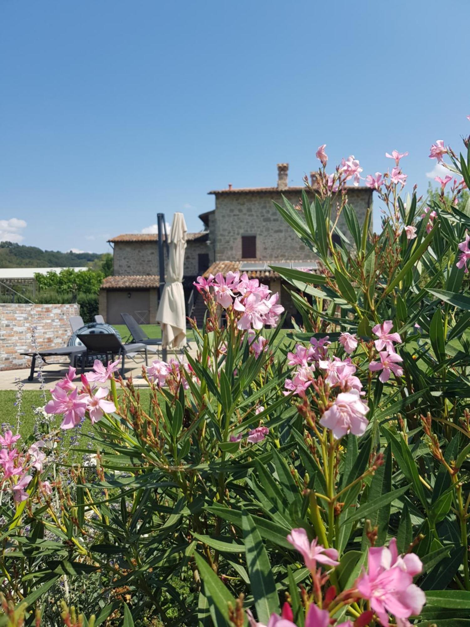 טודי Agriturismo Villa Al Piano מראה חיצוני תמונה