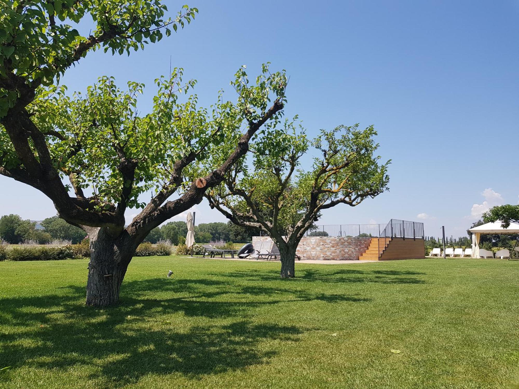 טודי Agriturismo Villa Al Piano מראה חיצוני תמונה