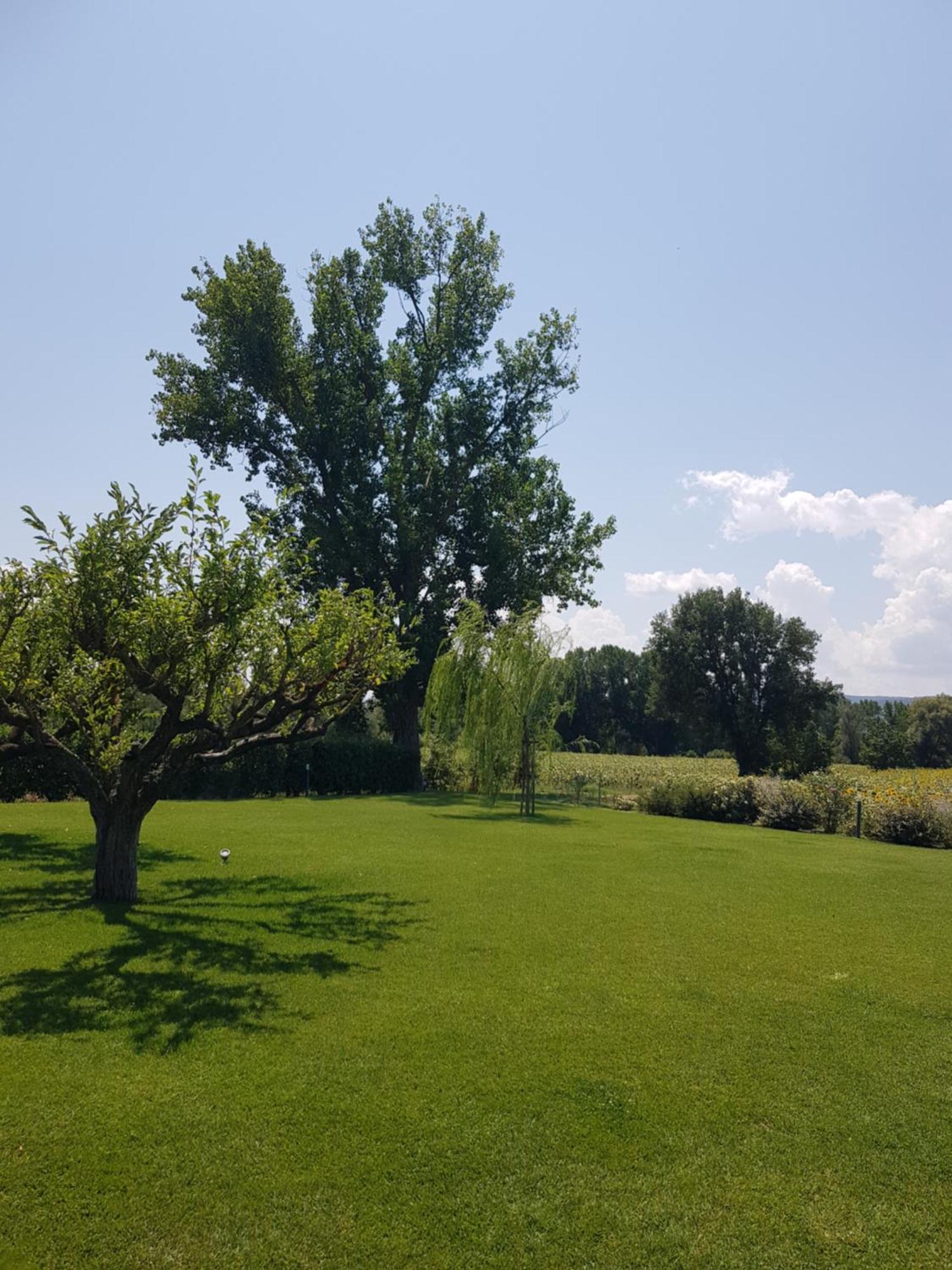 טודי Agriturismo Villa Al Piano מראה חיצוני תמונה