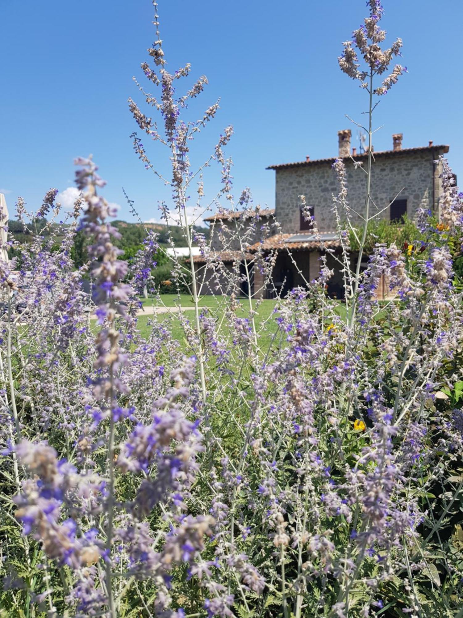 טודי Agriturismo Villa Al Piano מראה חיצוני תמונה